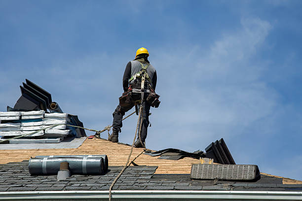 Professional Roof Replacement technician working in Camp Hill, AL